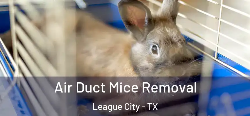  Air Duct Mice Removal League City - TX