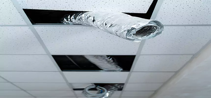 Our Air Duct Pet Hair Removal Services in League City, TX