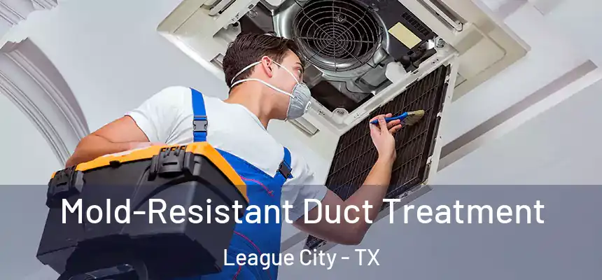  Mold-Resistant Duct Treatment League City - TX