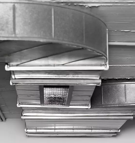 Professional Air Duct Pest Removal in League City, TX