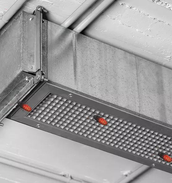 Affordable Insect Removal from Air Ducts in League City, TX