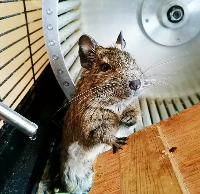 Why Homeowners & Businesses Trust Us League City, TX?