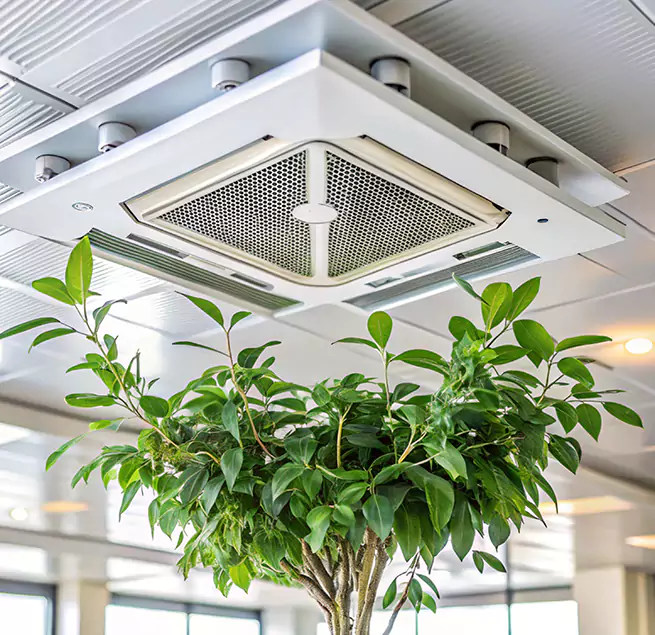 Why Homeowners & Businesses Trust Us in League City, TX?