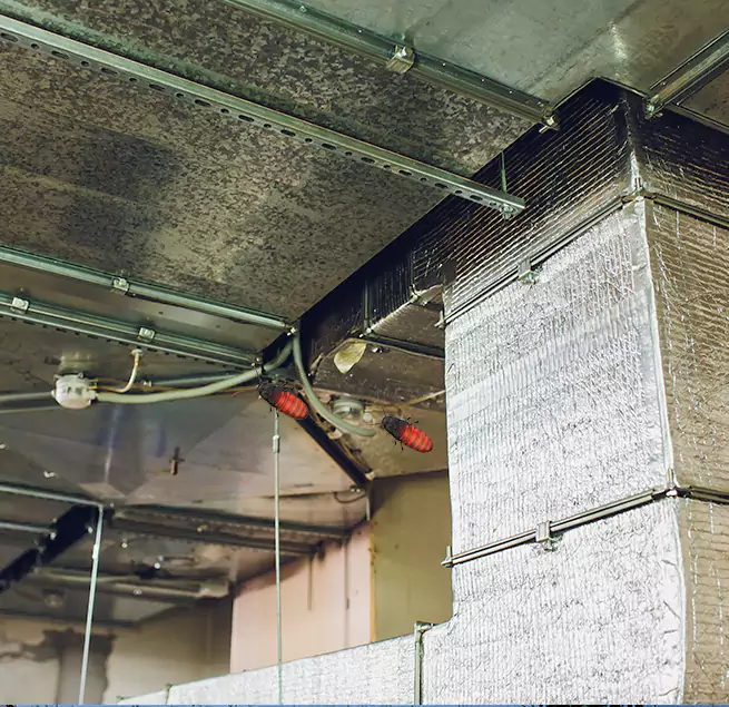 Why Homeowners & Businesses Trust Us League City, TX?