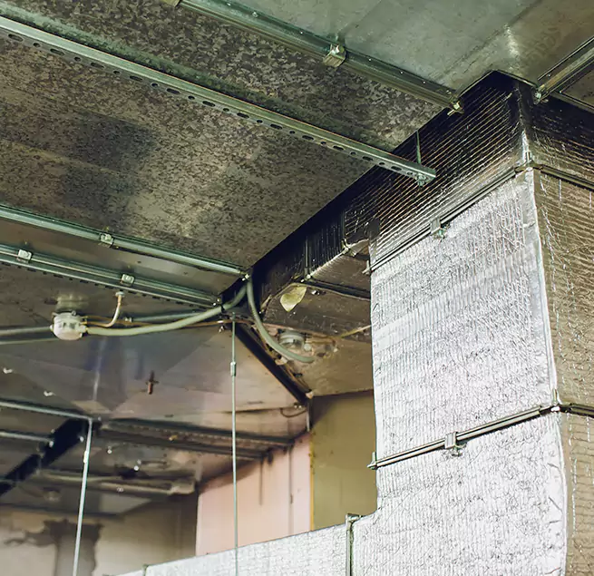 Why Homeowners & Businesses Trust Us in League City, TX?